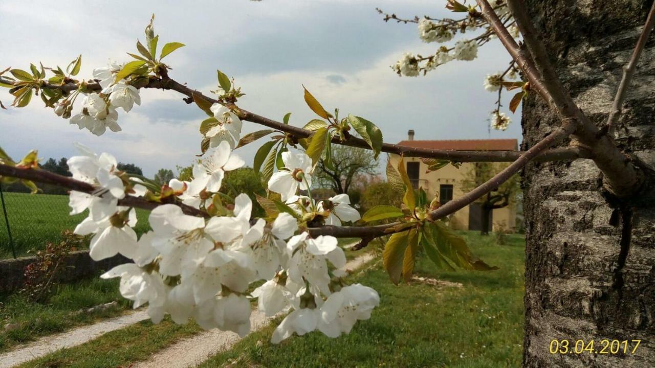 B&B Fior Fiore Spello Ngoại thất bức ảnh