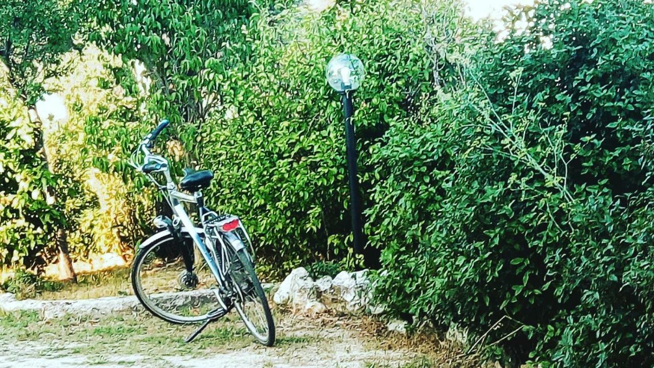 B&B Fior Fiore Spello Ngoại thất bức ảnh